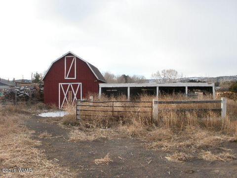 331 W School Bus Rd, Eagar, AZ 85925 photo 3