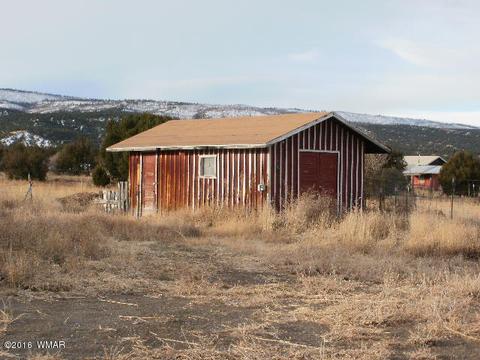 331 W School Bus Rd, Eagar, AZ 85925 photo 14