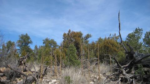1950 Bear Cave Cir, Overgaard, AZ 85933 photo 10