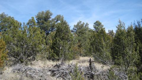 1950 Bear Cave Cir, Overgaard, AZ 85933 photo 8