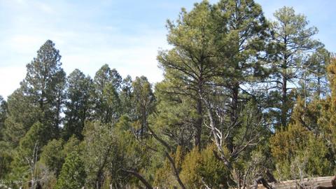 1950 Bear Cave Cir, Overgaard, AZ 85933 photo 3