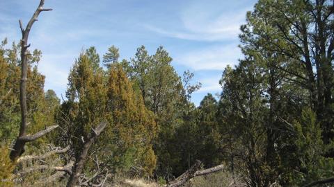 1950 Bear Cave Cir, Overgaard, AZ 85933 photo 7