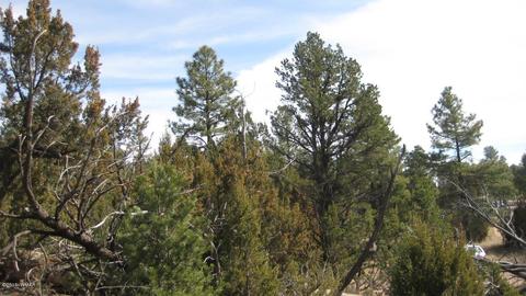 1950 Bear Cave Cir, Overgaard, AZ 85933 photo 9