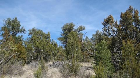 1950 Bear Cave Cir, Overgaard, AZ 85933 photo 6