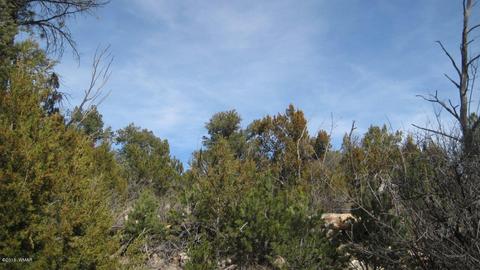 1950 Bear Cave Cir, Overgaard, AZ 85933 photo 11