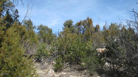 1950 Bear Cave Cir, Overgaard, AZ 85933 photo 12