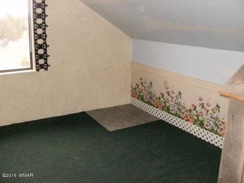 1734 E Becker Lane Loop, Springerville, AZ 85938 photo 32