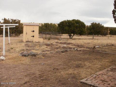 1734 E Becker Lane Loop, Springerville, AZ 85938 photo 3