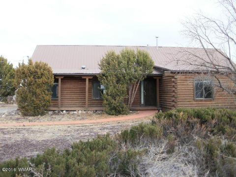 1734 E Becker Lane Loop, Springerville, AZ 85938 photo 1