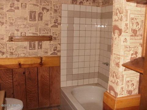 1734 E Becker Lane Loop, Springerville, AZ 85938 photo 21