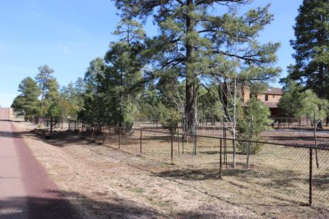 3033 Aspen Rd # A, Overgaard, AZ 85933 photo 66