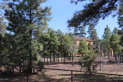 3033 Aspen Rd # A, Overgaard, AZ 85933 photo 62