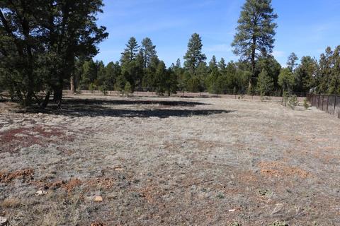 3033 Aspen Rd # A, Overgaard, AZ 85933 photo 61