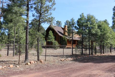 3033 Aspen Rd # A, Overgaard, AZ 85933 photo 64