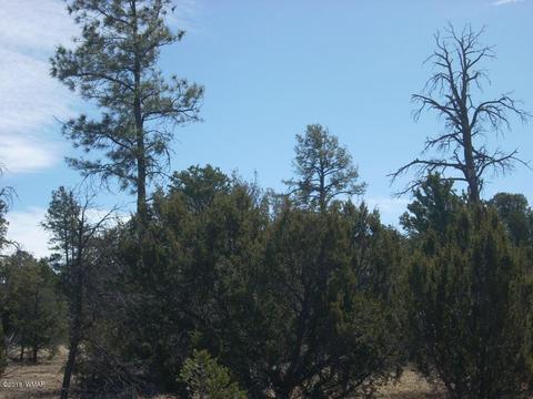 3241 Bigler Rd, Overgaard, AZ 85933 photo 9