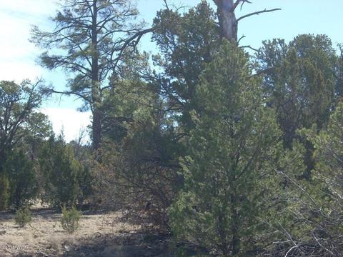 3241 Bigler Rd, Overgaard, AZ 85933 photo 12
