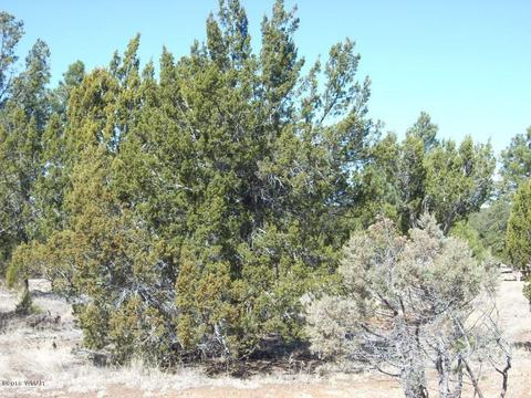 3241 Bigler Rd, Overgaard, AZ 85933 photo 14