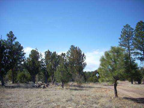 3241 Bigler Rd, Overgaard, AZ 85933 photo 5