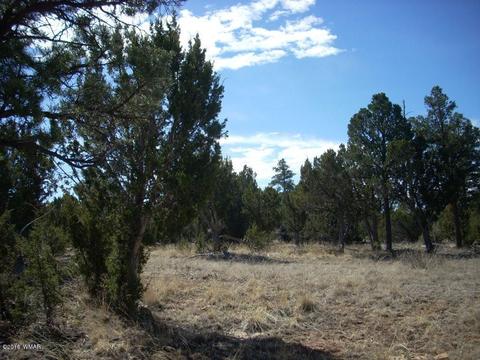 3241 Bigler Rd, Overgaard, AZ 85933 photo 4