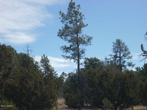 3241 Bigler Rd, Overgaard, AZ 85933 photo 7