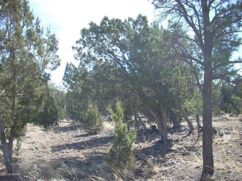 3241 Bigler Rd, Overgaard, AZ 85933 photo 1