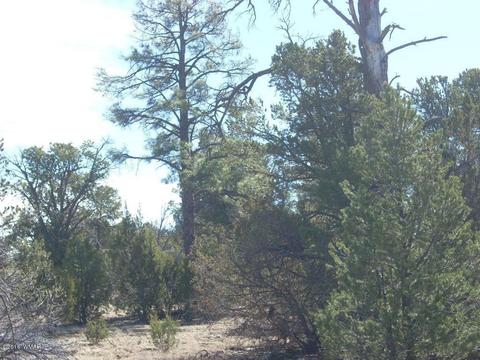 3241 Bigler Rd, Overgaard, AZ 85933 photo 11