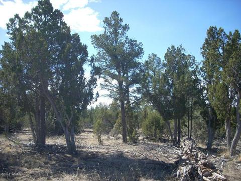 3241 Bigler Rd, Overgaard, AZ 85933 photo 6