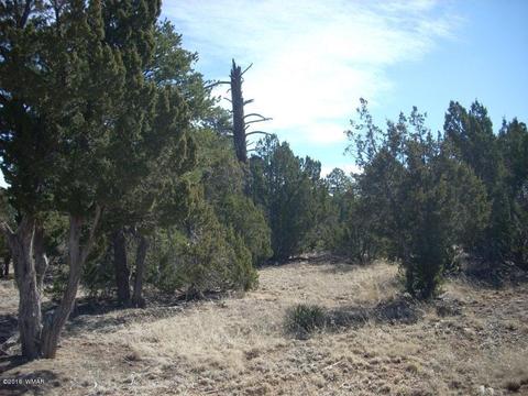 3241 Bigler Rd, Overgaard, AZ 85933 photo 3