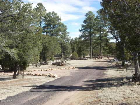 3241 Bigler Rd, Overgaard, AZ 85933 photo 17