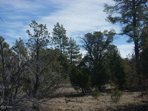 3241 Bigler Rd, Overgaard, AZ 85933 photo 13