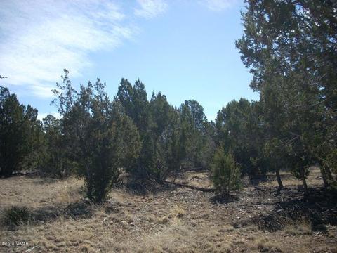 3241 Bigler Rd, Overgaard, AZ 85933 photo 2