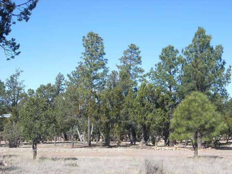 3241 Bigler Rd, Overgaard, AZ 85933 photo 15