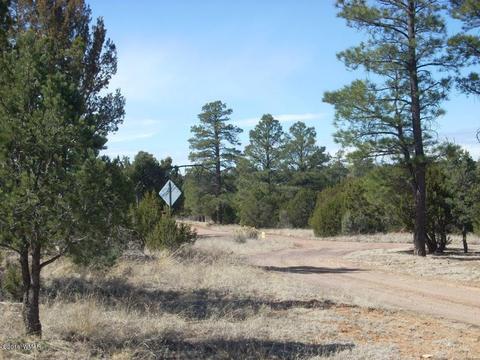 3241 Bigler Rd, Overgaard, AZ 85933 photo 16