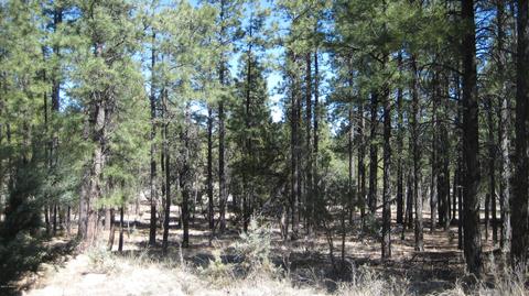 2878 Silver Dollar St, Overgaard, AZ 85933 photo 10