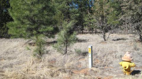 2878 Silver Dollar St, Overgaard, AZ 85933 photo 23
