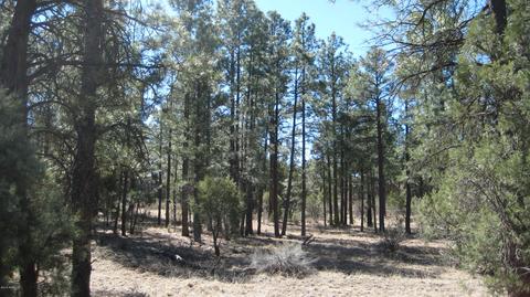 2878 Silver Dollar St, Overgaard, AZ 85933 photo 16
