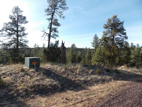 2968 Constellation # A, Overgaard, AZ 85933 photo 2