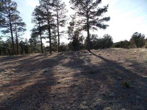 2968 Constellation # A, Overgaard, AZ 85933 photo 13
