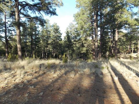 2968 Constellation # A, Overgaard, AZ 85933 photo 18