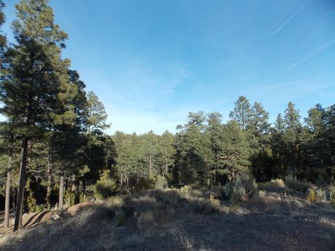 2968 Constellation # A, Overgaard, AZ 85933 photo 1
