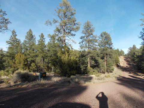 2968 Constellation # A, Overgaard, AZ 85933 photo 9