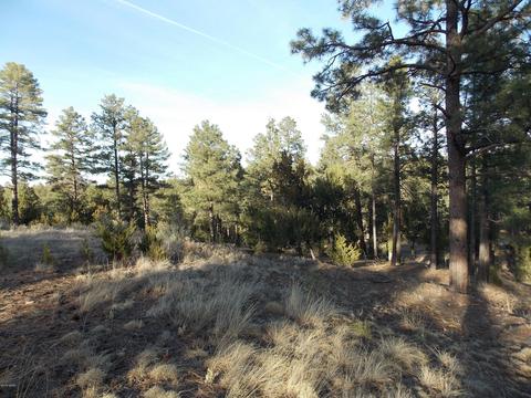 2968 Constellation # A, Overgaard, AZ 85933 photo 16