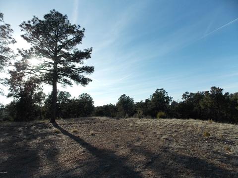 2968 Constellation # A, Overgaard, AZ 85933 photo 14