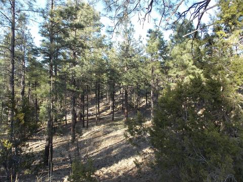 2968 Constellation # A, Overgaard, AZ 85933 photo 10