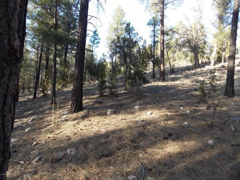 2968 Constellation # A, Overgaard, AZ 85933 photo 11