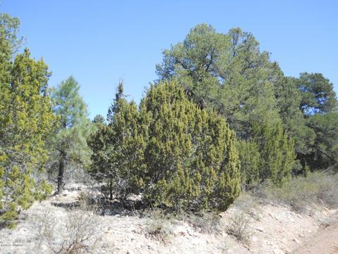 1988 Stagg Run, Overgaard, AZ 85933 photo 16
