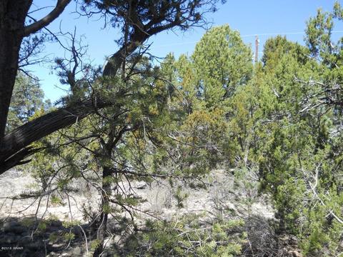 1988 Stagg Run, Overgaard, AZ 85933 photo 8
