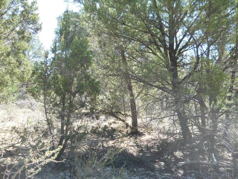 1988 Stagg Run, Overgaard, AZ 85933 photo 13