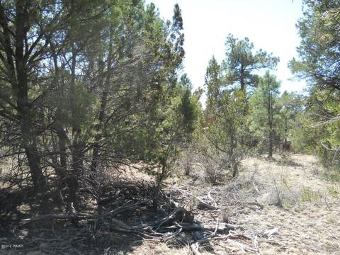 1988 Stagg Run, Overgaard, AZ 85933 photo 14