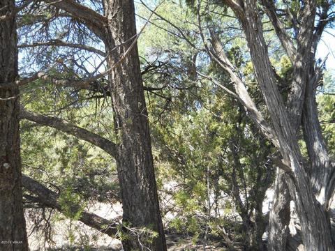 1988 Stagg Run, Overgaard, AZ 85933 photo 9
